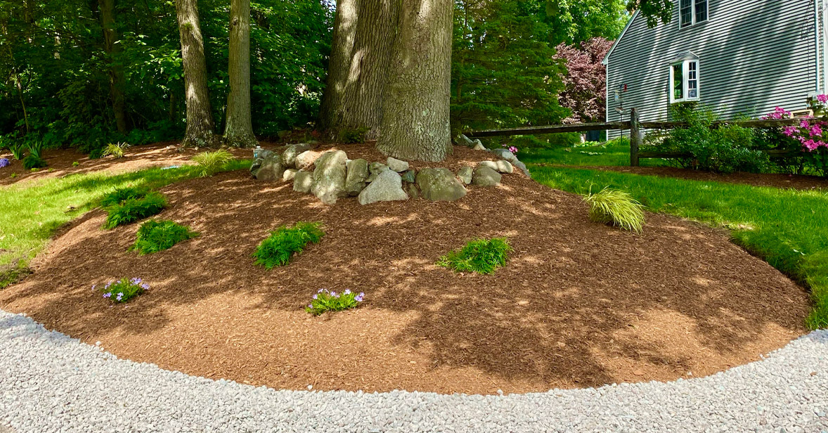 Landscape design and installation from Total Landscapes