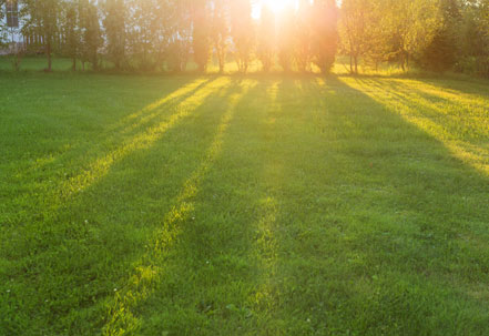 Lawn Installation & Reseeding Services Attleboro MA