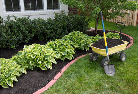 Buy Mulch